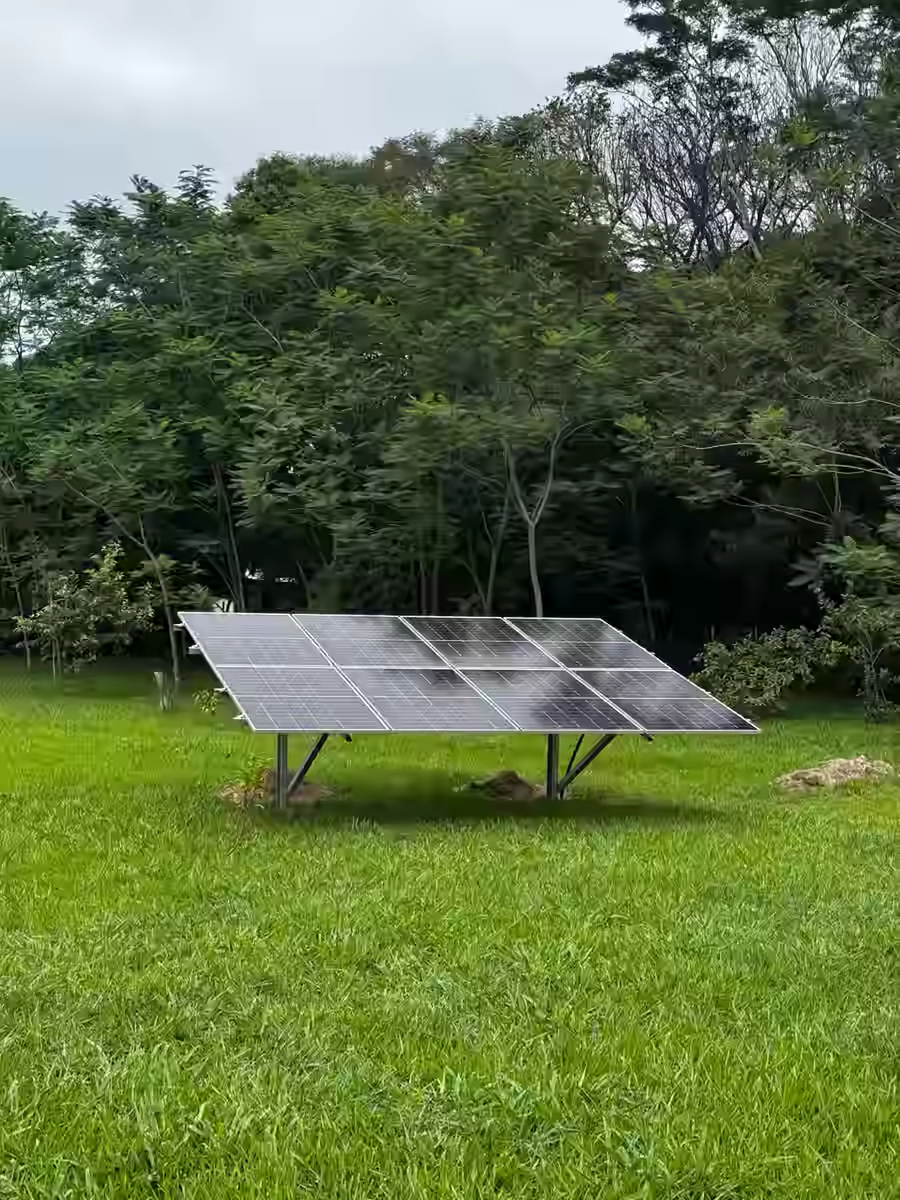 Solaranlage mit mehreren Modulreihen auf freistehendem Solarträger vor grüner Wiese und Baumkulisse